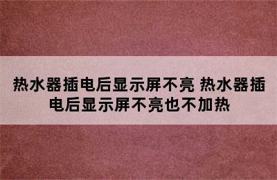 热水器插电后显示屏不亮 热水器插电后显示屏不亮也不加热